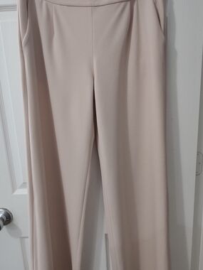 Express Wide-Leg Pants in Light Blush